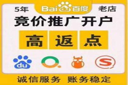 关键词竞价排名策略：成功企业的案例分析